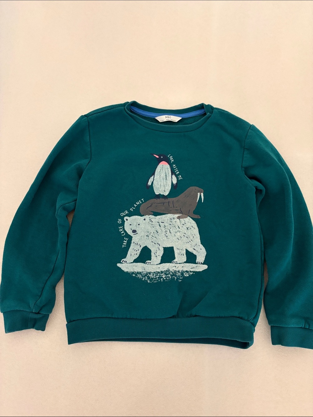 Marks & Spencer Deep Teal Kids Sweatshirt with Arctic Animal Stack Graphic